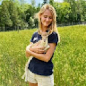 Meet your Posher, Allison